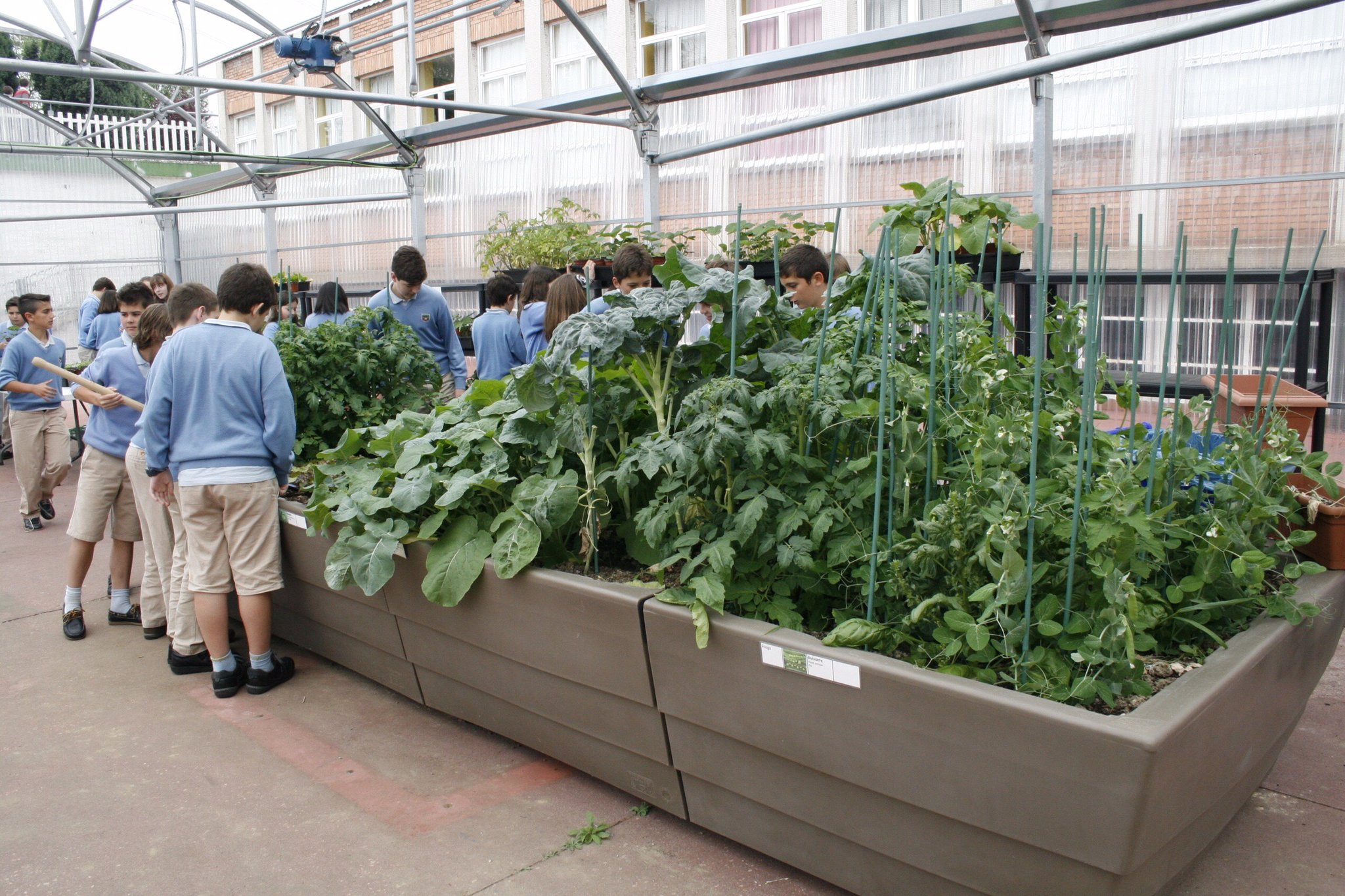 Experiencia real de participacion alrededor del huerto escolar GITMA