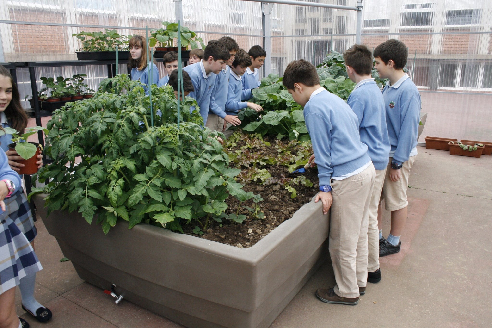 Experiencia real de uso del huerto escolar GITMA en entorno educativo exterior