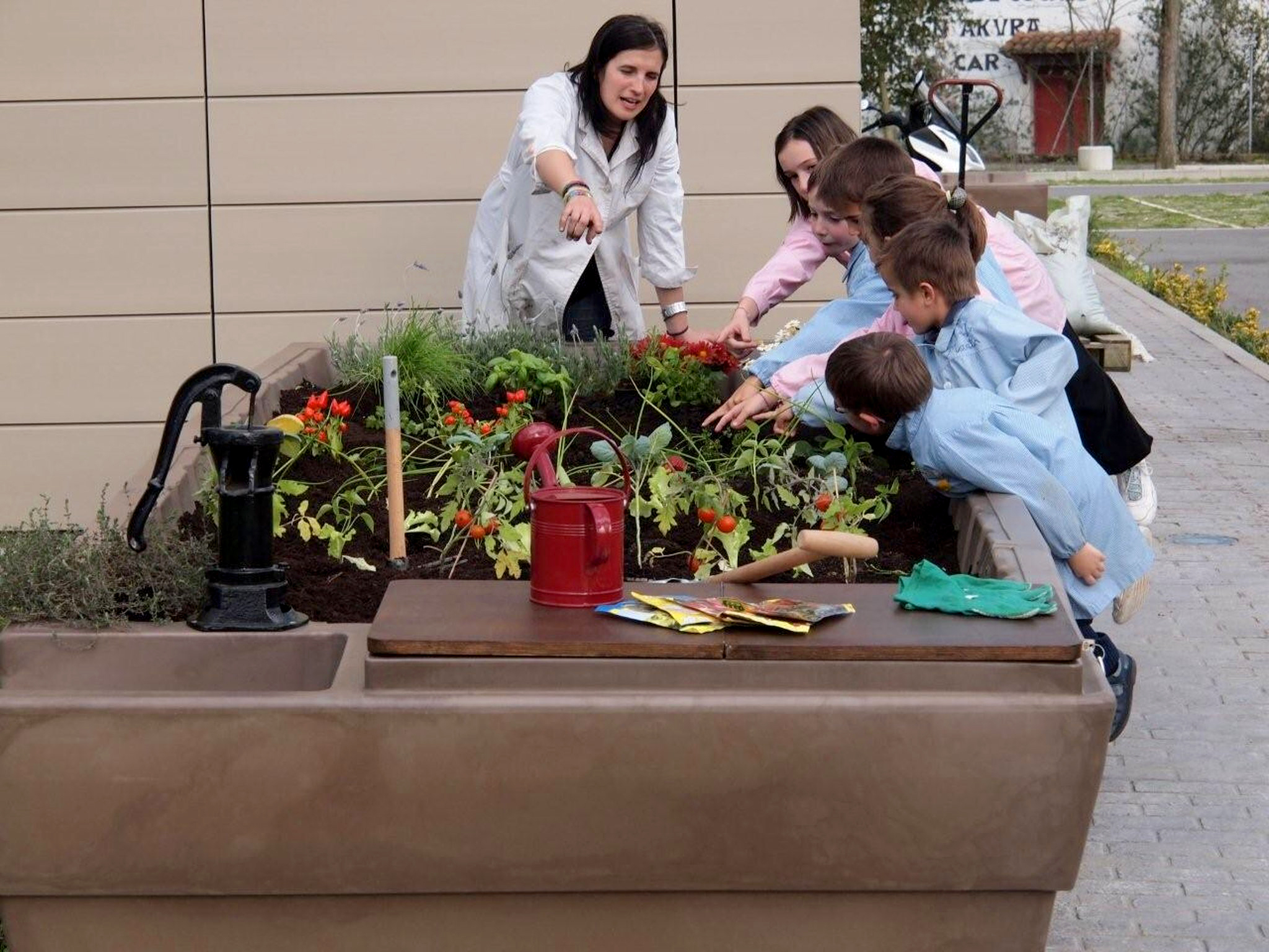 Huerto escolar GITMA integrado de forma limpia y ordenada en un centro educativo