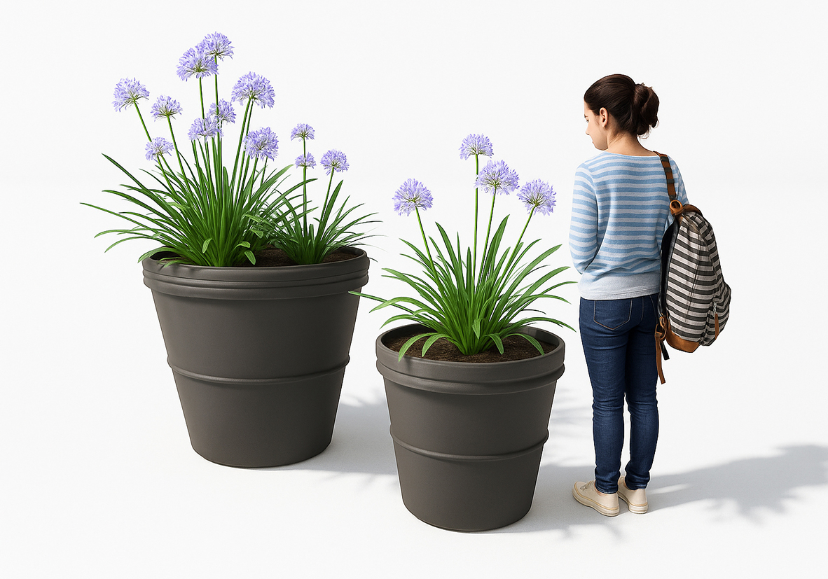 Jardinera Clsica