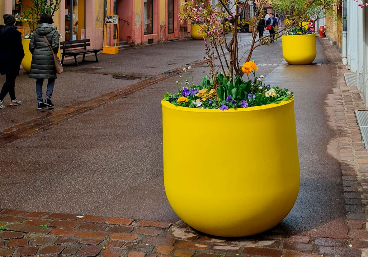 .Jardinera Luna