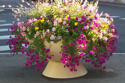 Nueva Gama de Jardineras Cuenco.