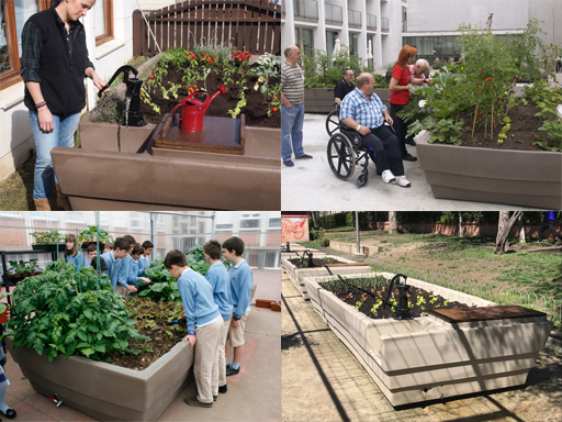 Huertos Lúdicos Urbanos