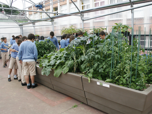 Huerto escolar Gitma