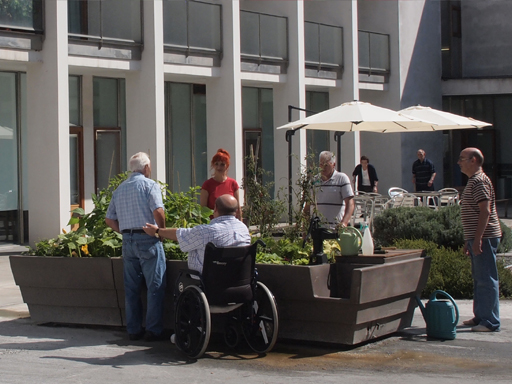 Un huerto lleno de experiencia.