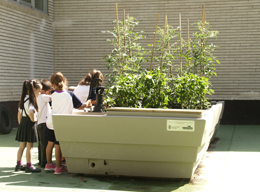 Huerto Escolar Gitma