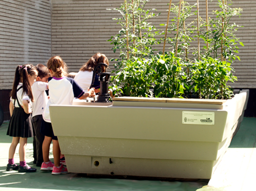 Un huerto a la altura de su educación