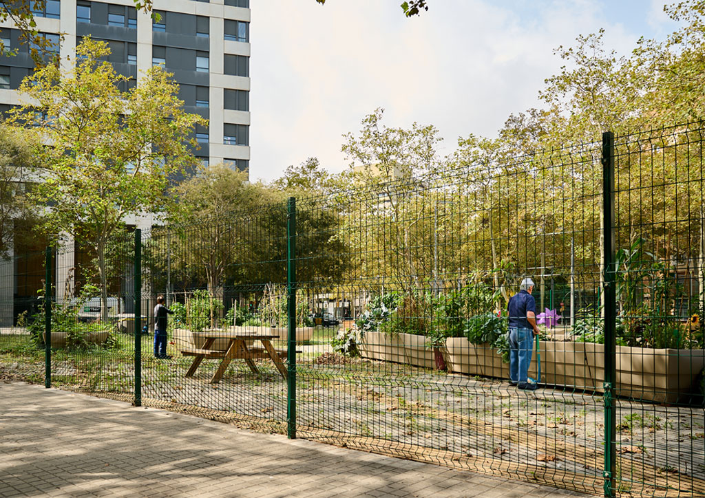 Hort dels Pebrots: huerto resiliente en Barcelona