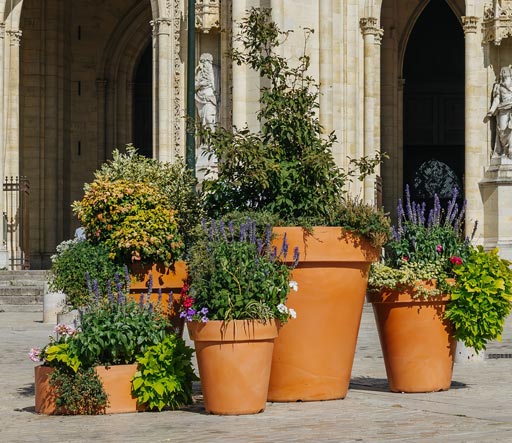 Renaturalización de espacios históricos
