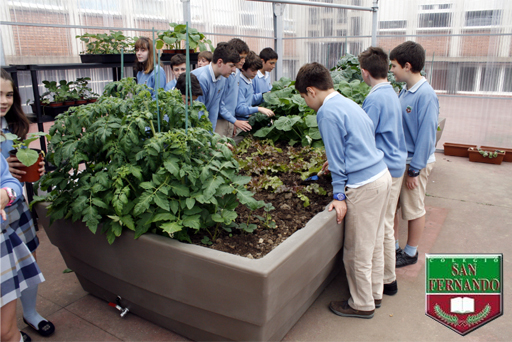 Un huerto en el Colegio San Fernando de Avilés