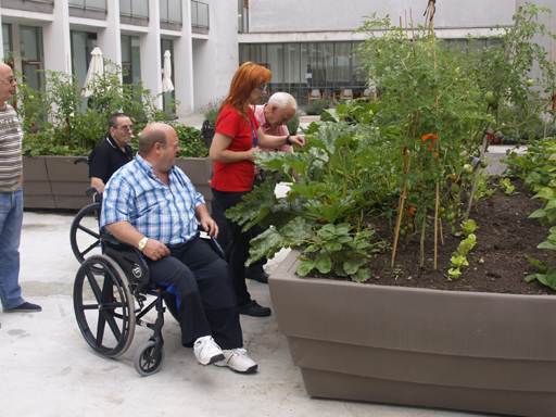 Un huerto a la altura de sus experiencias