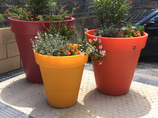 Nuevo conjunto ajardinado POT